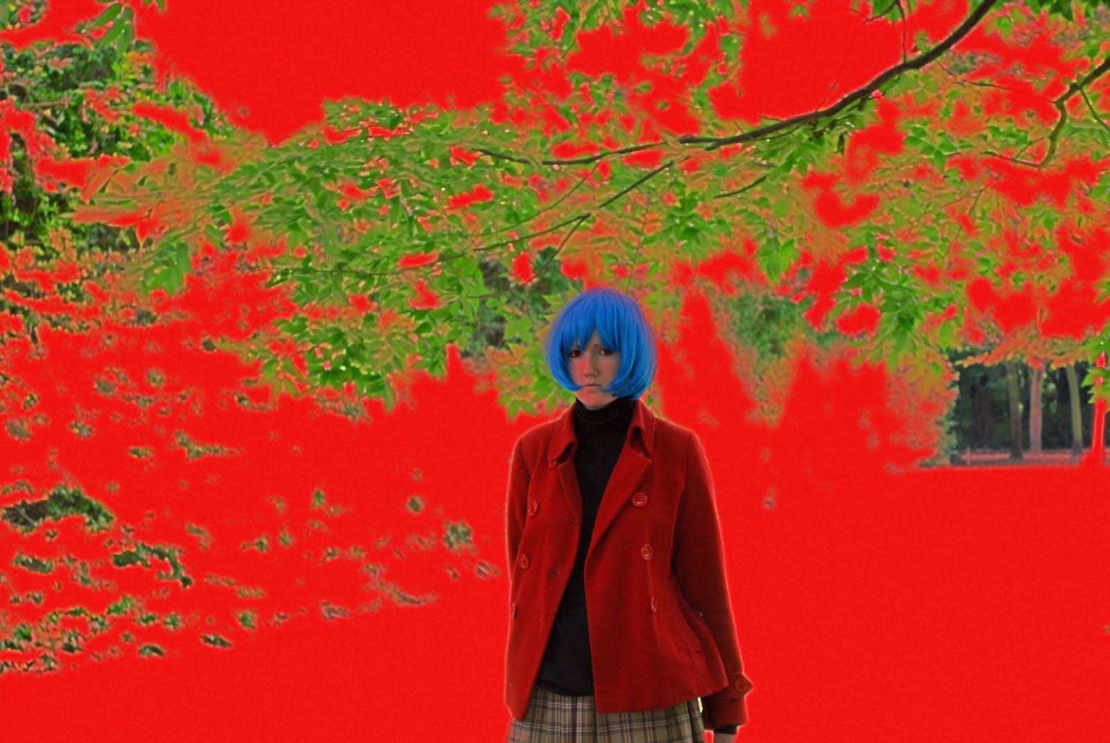 http://4.bp.blogspot.com/_tVcH7eYszfg/TEt9eQMJjeI/AAAAAAAAAqU/BOyd0Hx_PUo/s1600/DSC_2240+DG.jpg