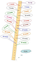Anton's Belt Barometer