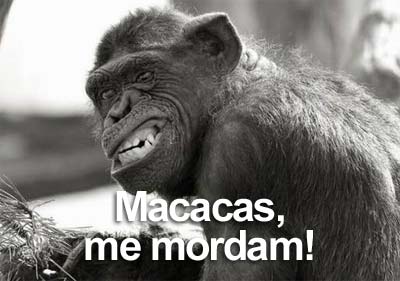 [macacas.jpg]