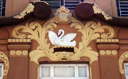 [qual-cisne-branco-em-noite-.jpg]