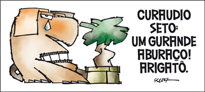 [curaudio-seto-72-400.gif]