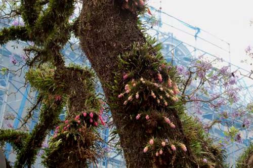 [o-adeus-a-Nireu-Teixeira.jpg]