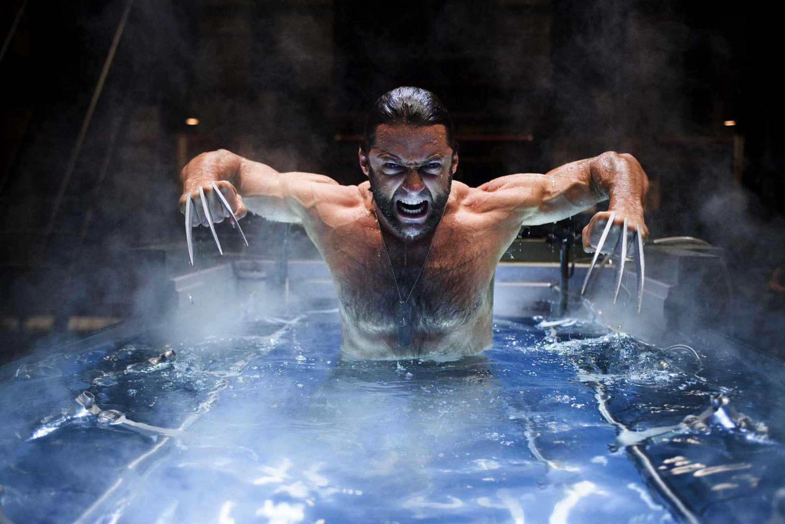 http://4.bp.blogspot.com/_tWeYU17hDgA/TNvKe-HUKLI/AAAAAAAAHbw/t1OsMuzVllU/s1600/2009_x-men_wolverine_002.jpg