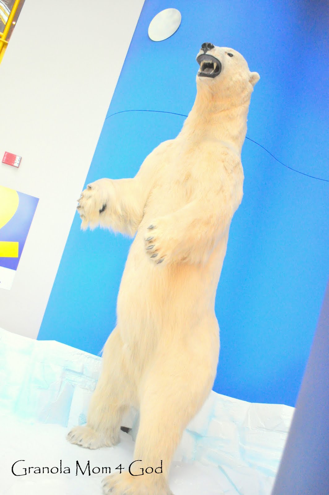 [Children's+Museum+023.JPG]