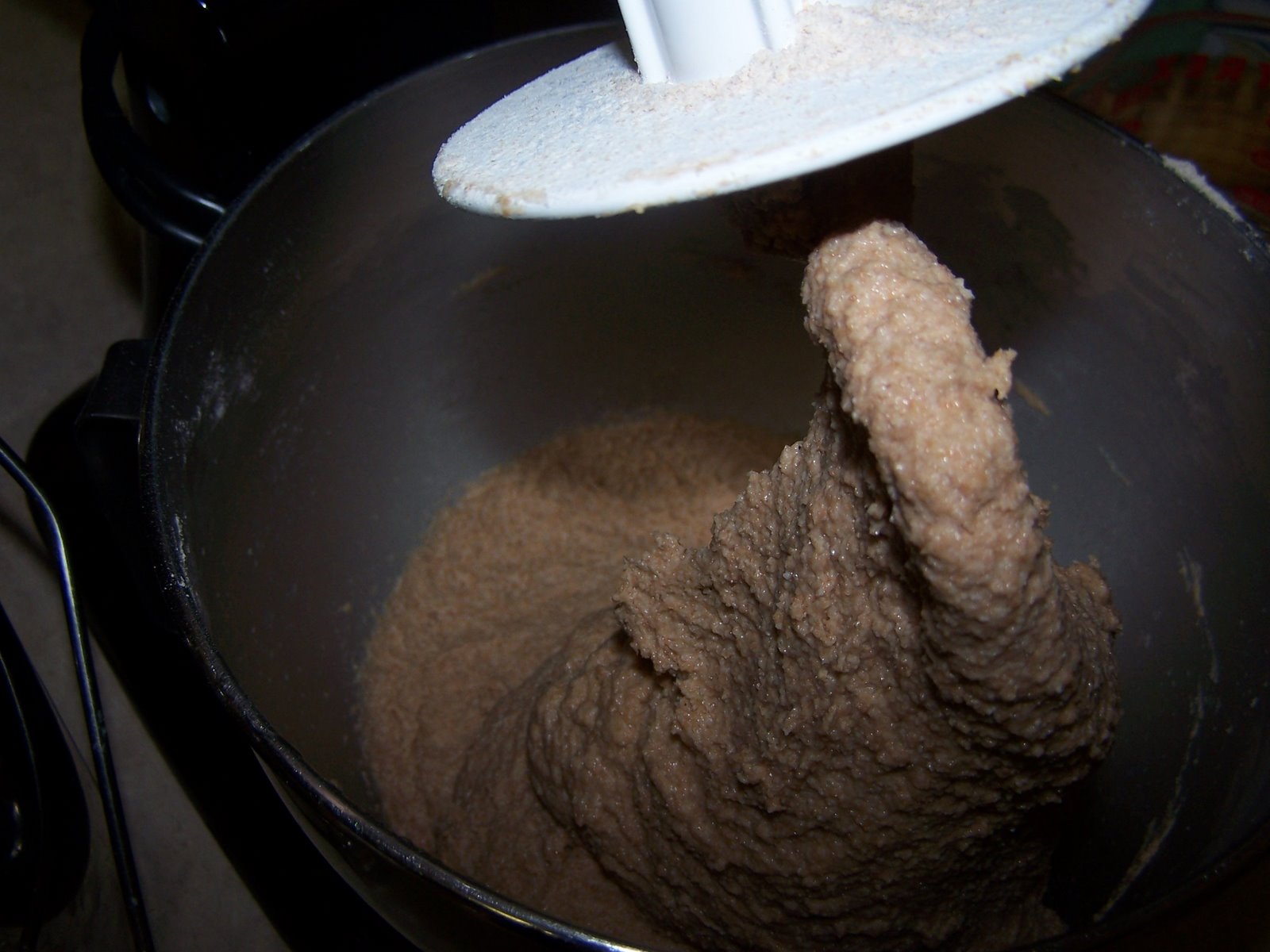 [turkeys+and+making+bread+011.JPG]