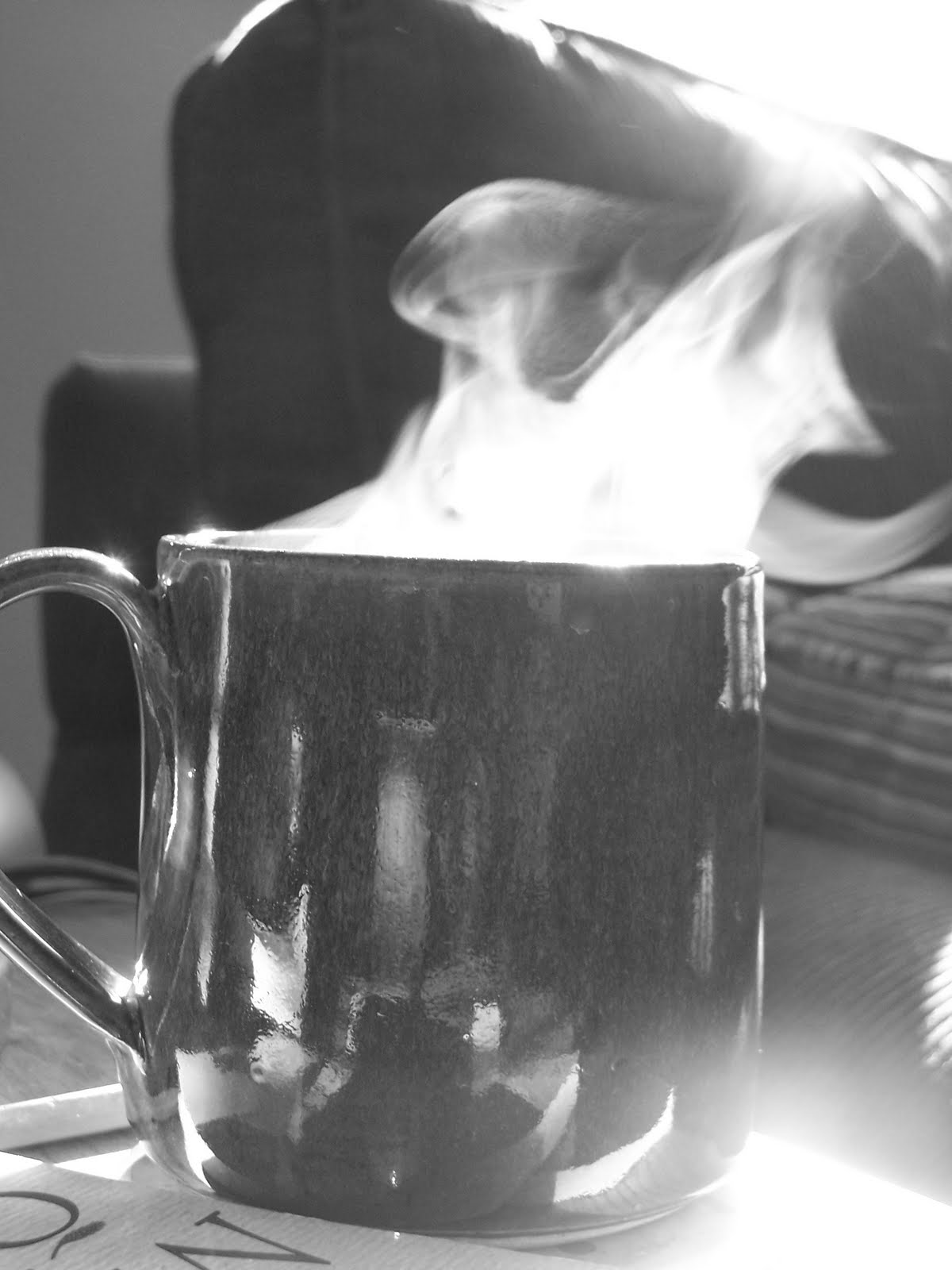 [snow+day+and+steam+016.JPG]
