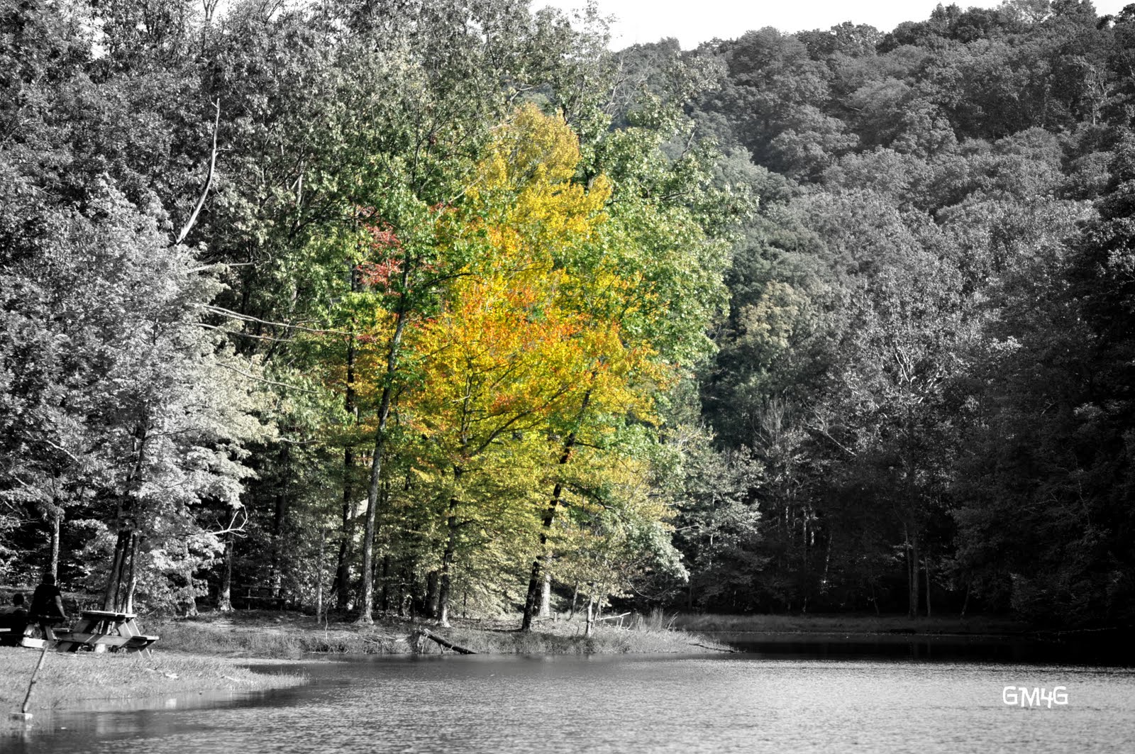 [Brown+County+093.JPG]