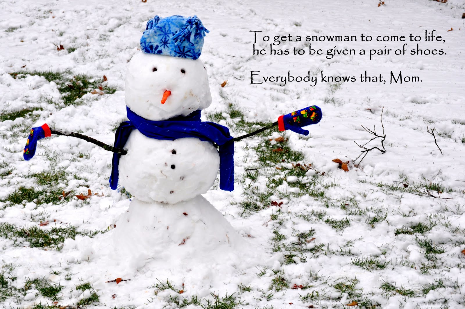 [december+21+010.JPG]
