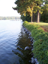 PROTECTED SHORELINE