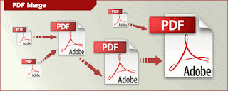 PDF