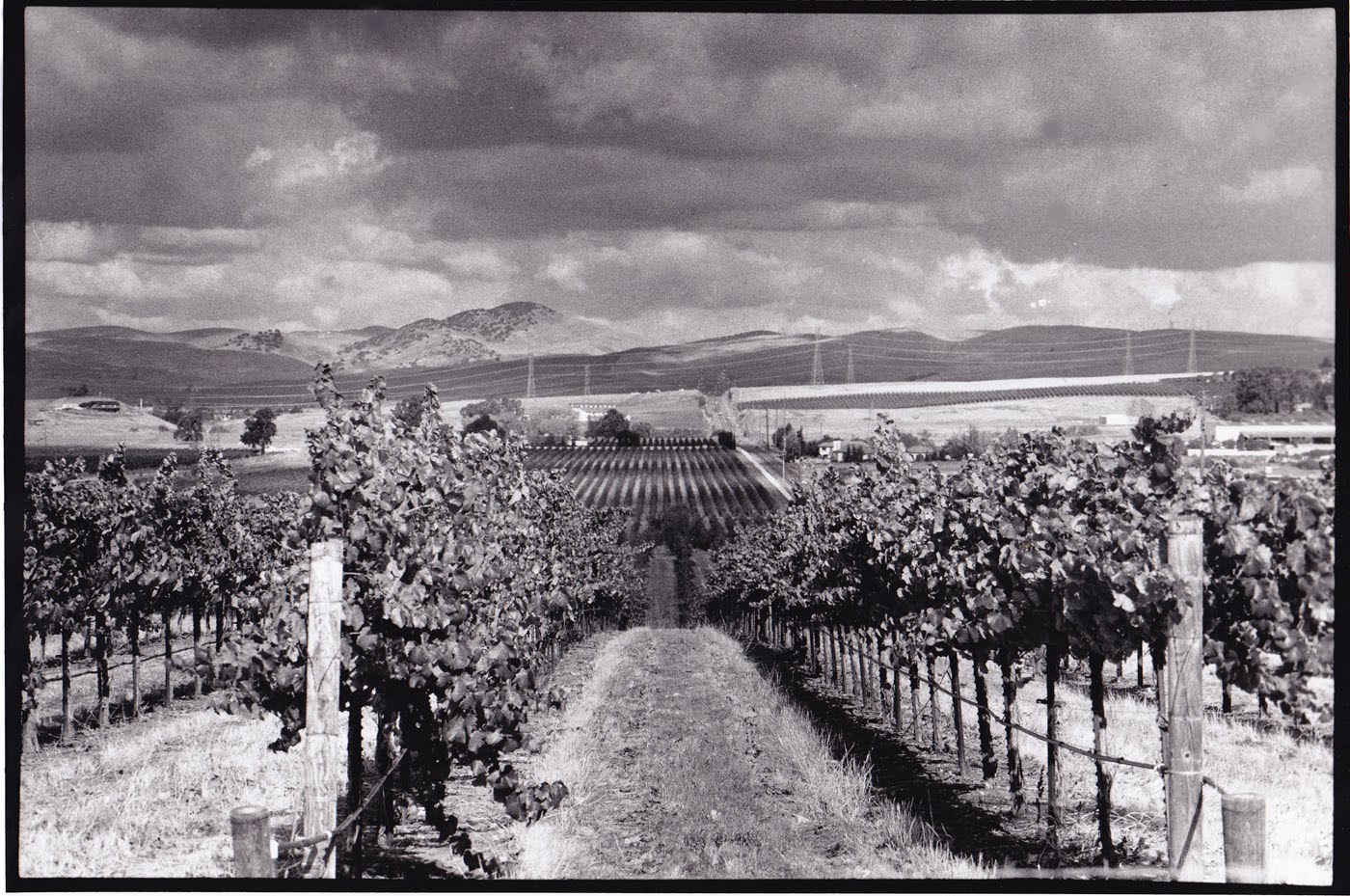 http://4.bp.blogspot.com/_tXI1_7FurB8/S9Tzu1FO02I/AAAAAAAAAdk/7zEasaKXH7Q/s1600/WIneCountry.jpg