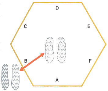 article hexagon results uslniqg article hexagon results uslniqg