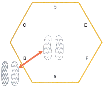 Hexagon+tess