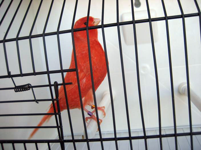 [IMG_7372..jpg]