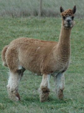 [18605_94570_12251_35297_trina.jpg]