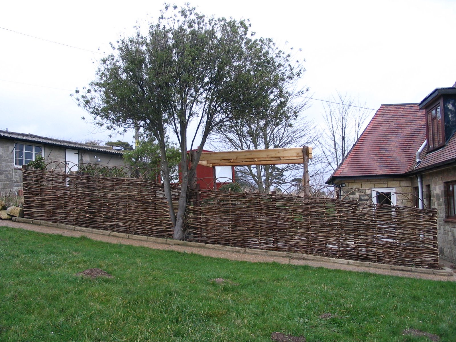 [IMG_2344.JPG]
