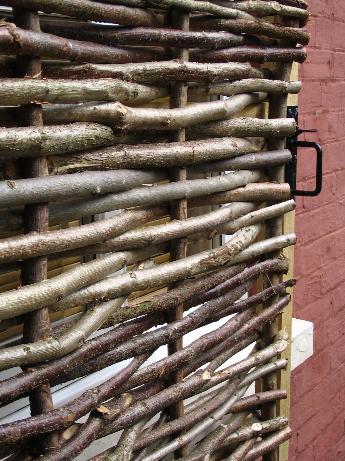 [IMG_2663.JPG]