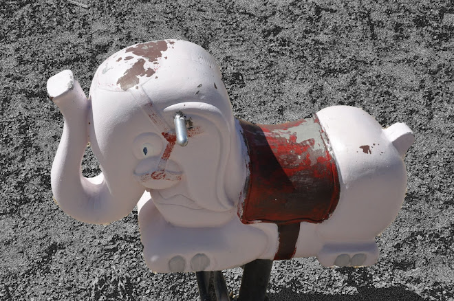 Uh, Elephant.