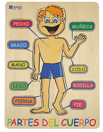 DIBUJO ILUSTRADO PARTE CUERPO HUMANO dibujo ilustrado parte cuerpo humano:
