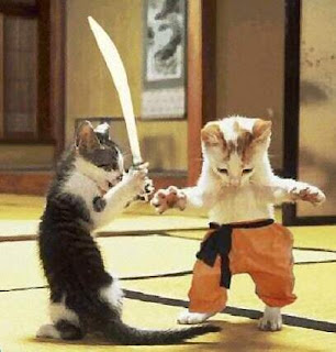 kittens%2Bkarate.bmp