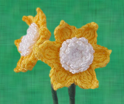daffodil flower yellow white garden