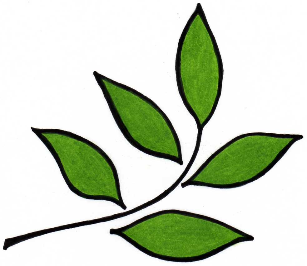 leaves design