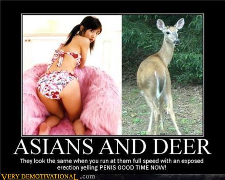 Asians and Deer