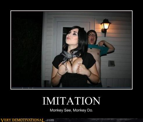Imitation