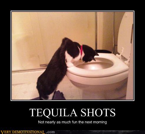 Tequila Shots