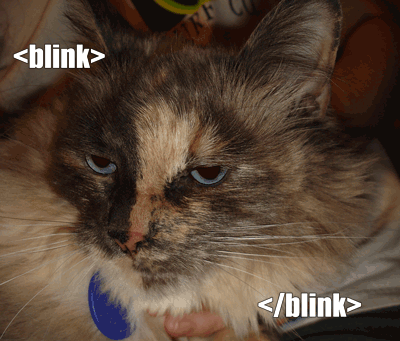 blinkcat