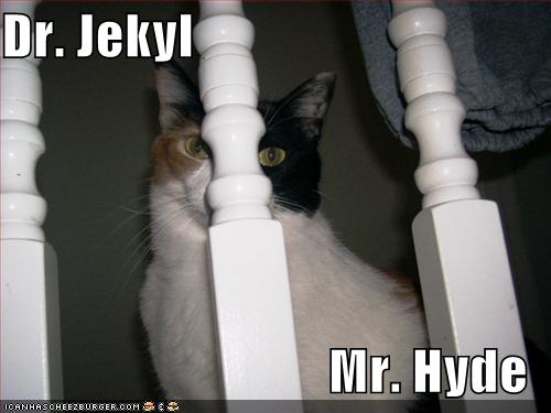 Dr. Jekyl Mr. Hyde