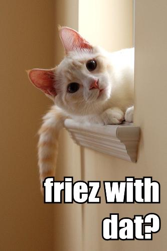 friez with dat?