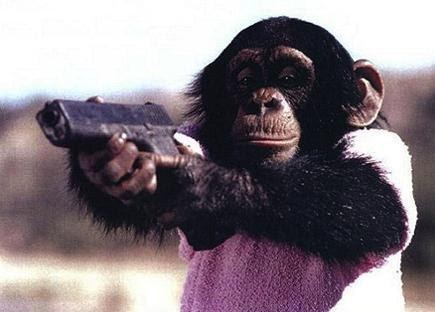 glock monkeys seda mcdonalds singe chimp meanspirited