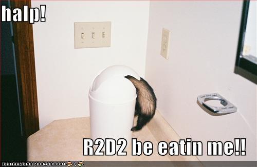 halp! R2D2 be eatin me!!