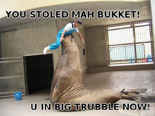 YOU STOLED MAH BUKKET! U IN BIG TRUBBLE NOW!