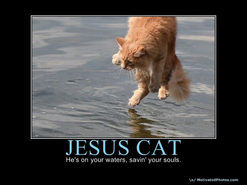 JESUS CAT