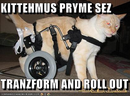 KITTEHMUS PRYME SEZ TRANZFORM AND ROLL OUT