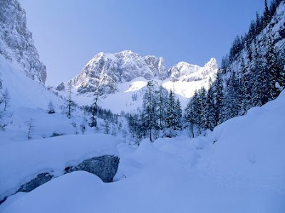 amazing winter