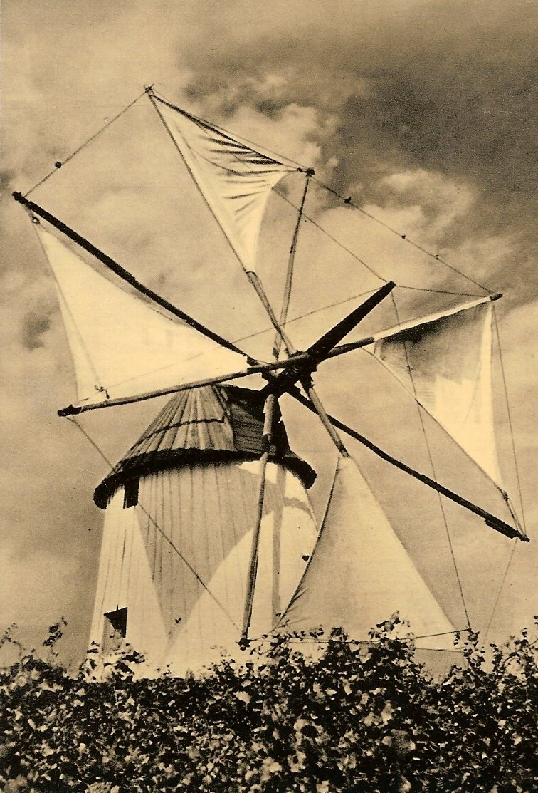 [Digitalizar0266.jpg]