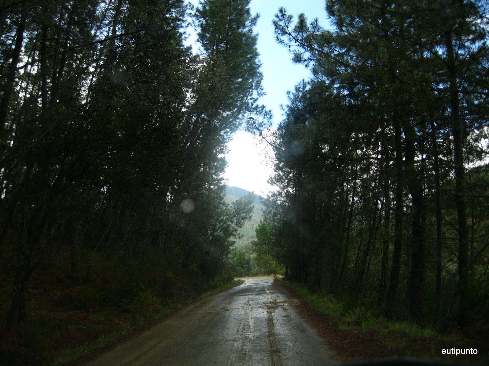 [IMG_3728.JPG]