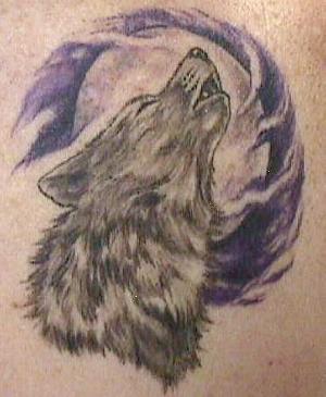Baby Wolf Tattoo