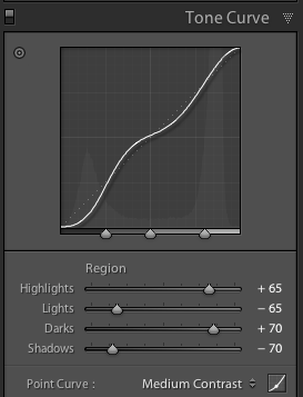 Photography Lightroom Tone Curve