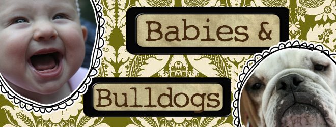 Babies & Bulldogs