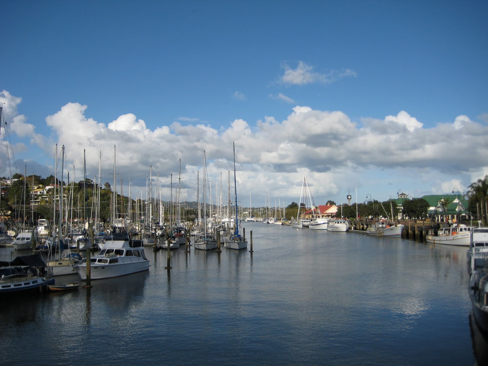 Auckland Bound Whangarei