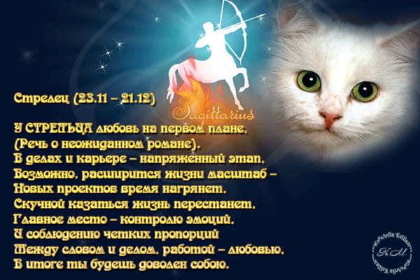 Поклонницы винкс это Конкурс анимешок 2012 » Винкс, литл пони Поздравления с успехом, с достижением в стихах