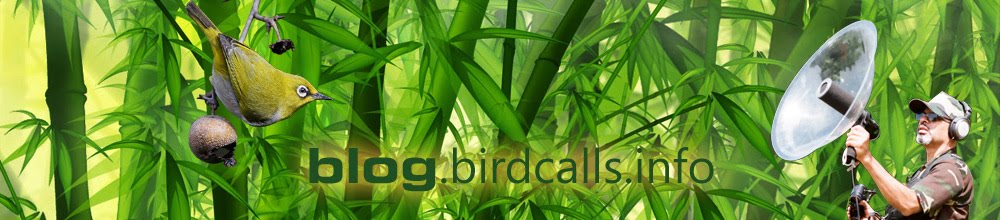 Birdcalls