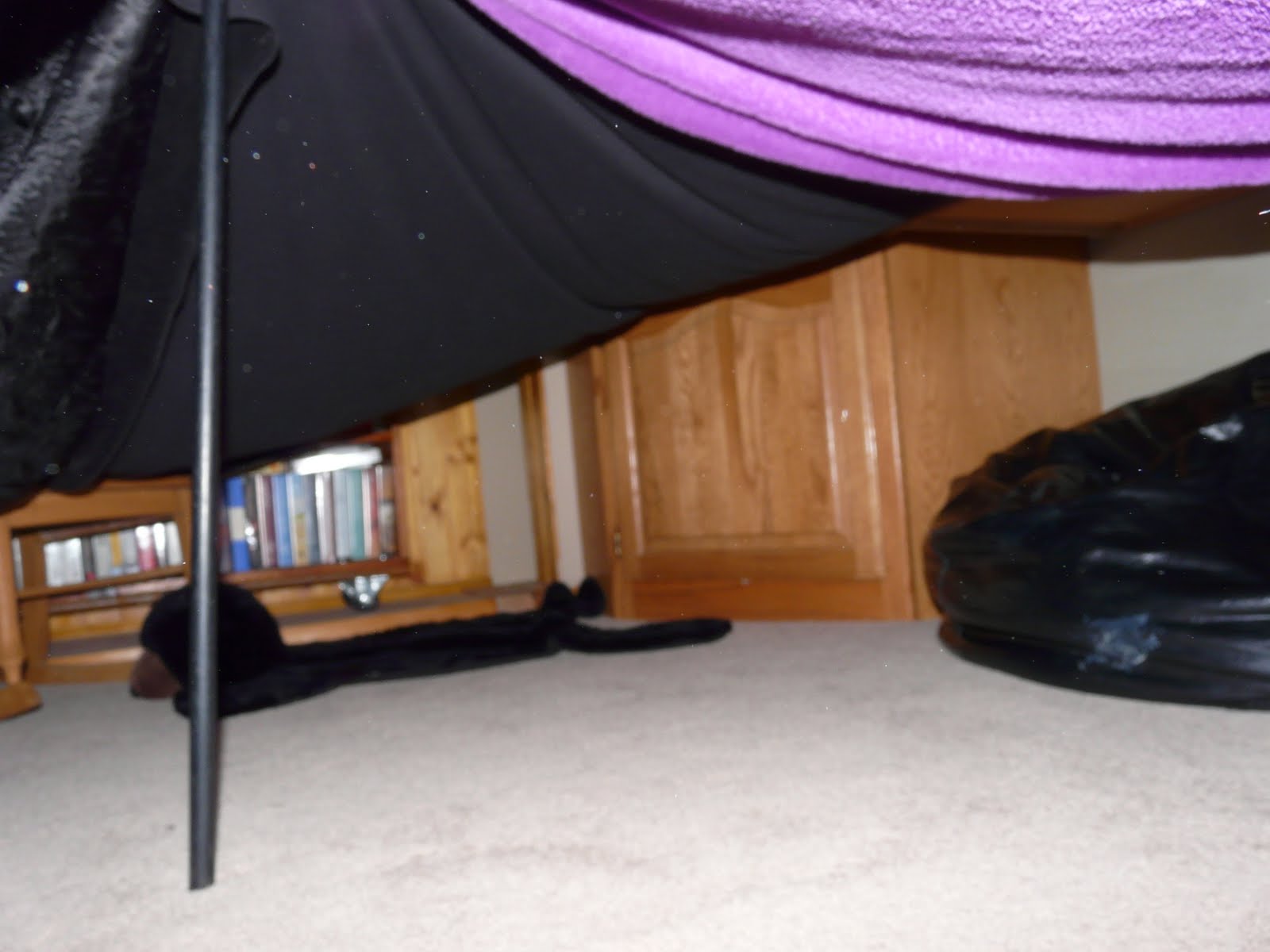 The "Secret" is Gratitude Forts of Fun, Blanket and Sheet Tents