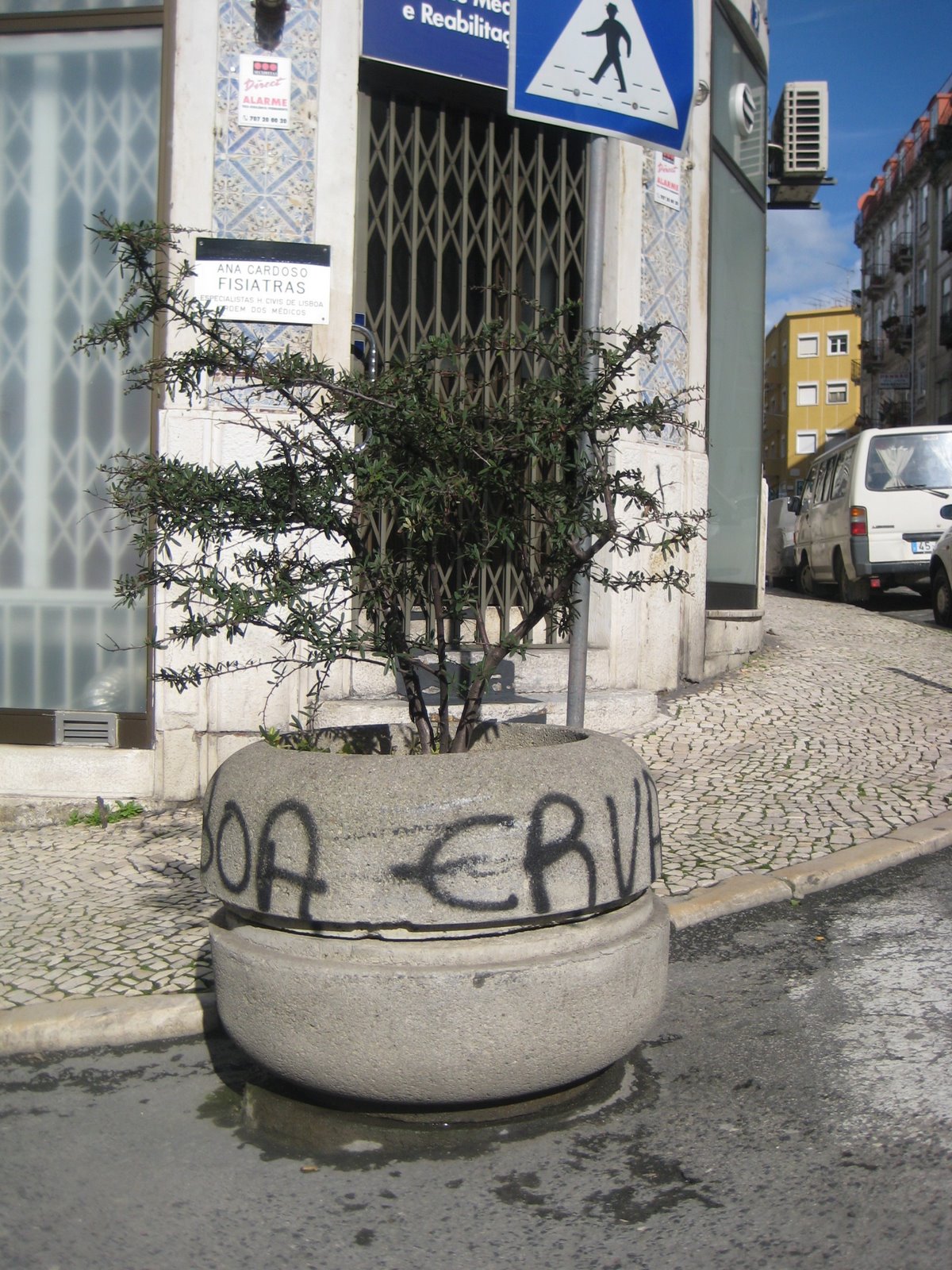 [31de+janeiro+2009+009.jpg]