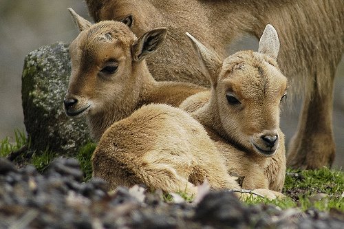 [2370460795_4ea5bd87af.jpg]