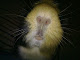 Mi foto
